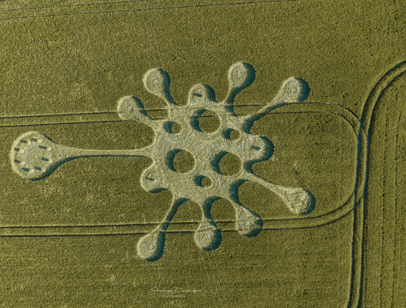 Potterne Field, nr Devizes, Wiltshire, reportado a 28 de Maio de 2020